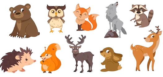 Animal